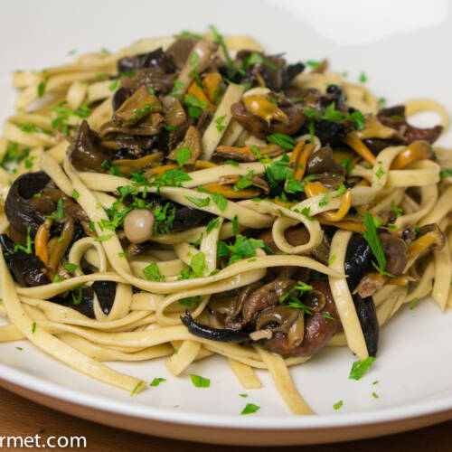 Funghi di Bosco